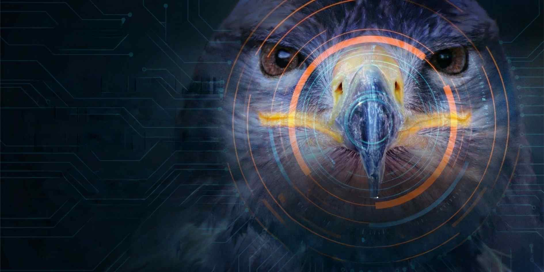 Eagle Eye Surveillance